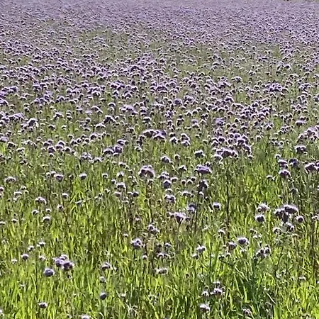 à L’étage Indépendant