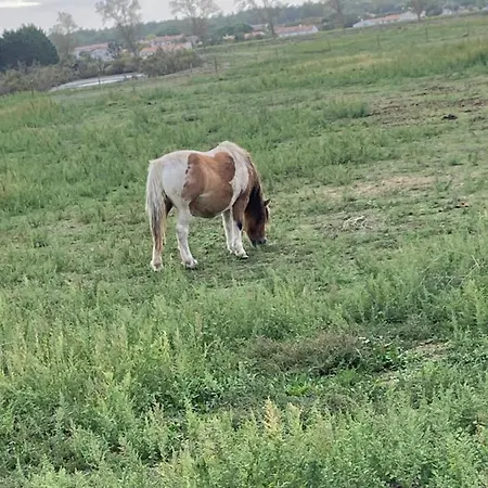 Apartamento à L’étage Indépendant *
